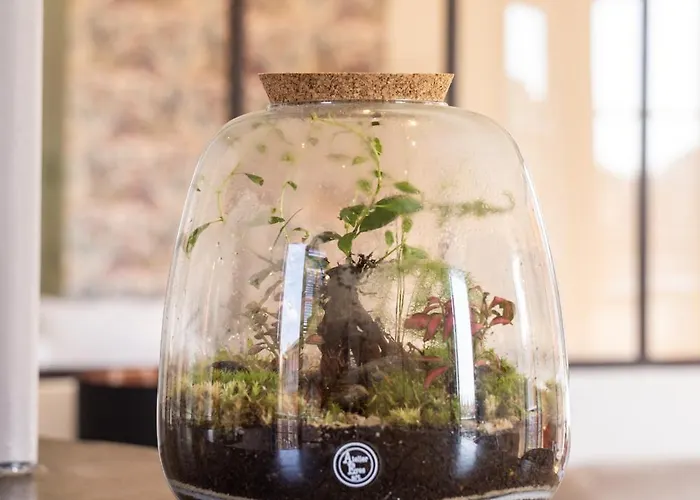 Apartment Capitole Horizon *