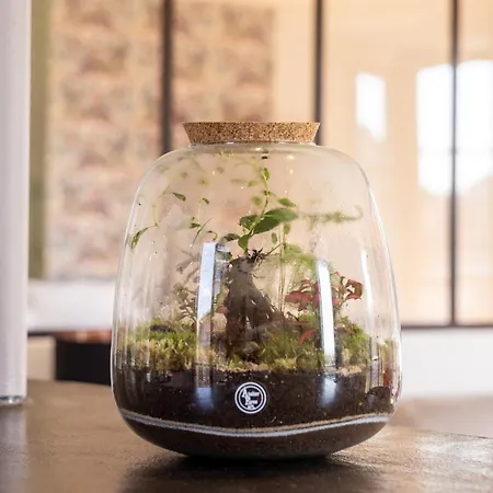 Διαμέρισμα Capitole Horizon *